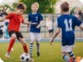 Dizicard sports & playground services directory